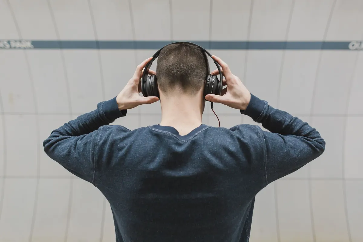 How to Learn Bird Songs Without an App: Six Ear-Training Exercises